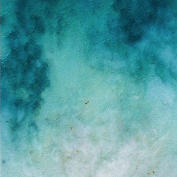 Meet your Posher, Erin - Picture 1 of 1